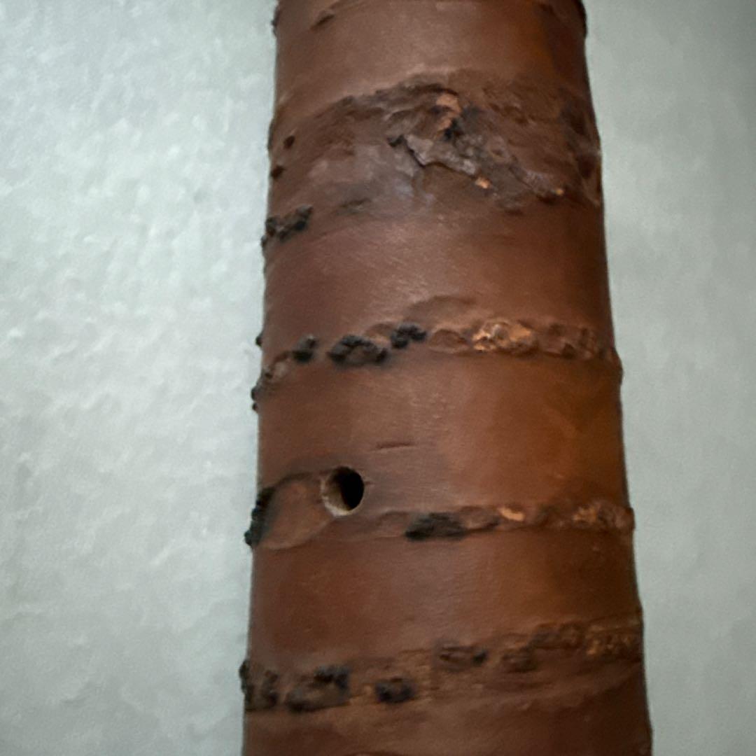 牧由加里さん 壁掛け オブジェ 桜