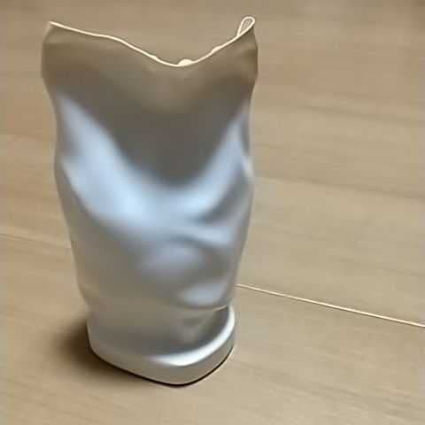 アンテ ヴォジュノヴィックのアート作品