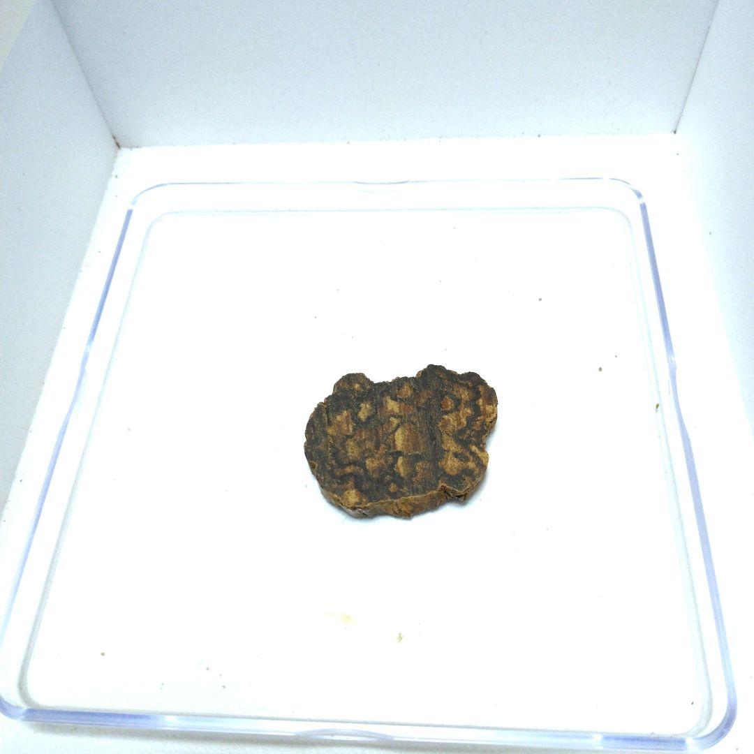 紅土沈香 B 2.59g