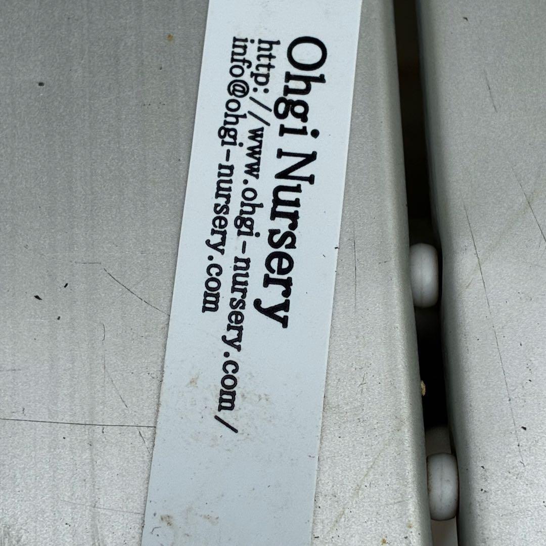 ˙*⋆様 3539☘️蕾花タグ付☘️蜃気楼交配⭐️特殊発色⭐️小輪⭐️オーレア⭐