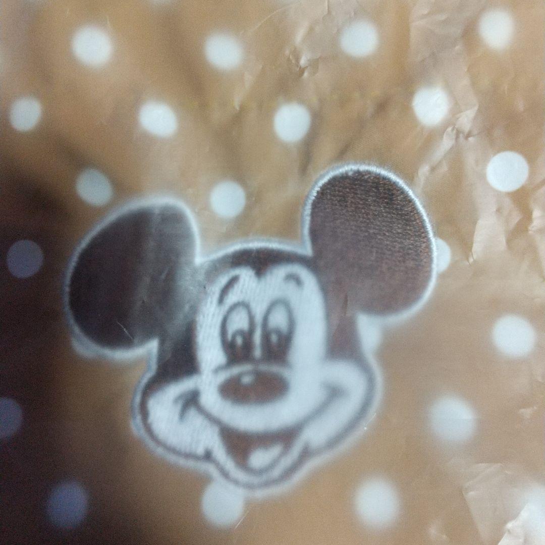 ♥ディズニーリゾート トートバッグ ♥確認用