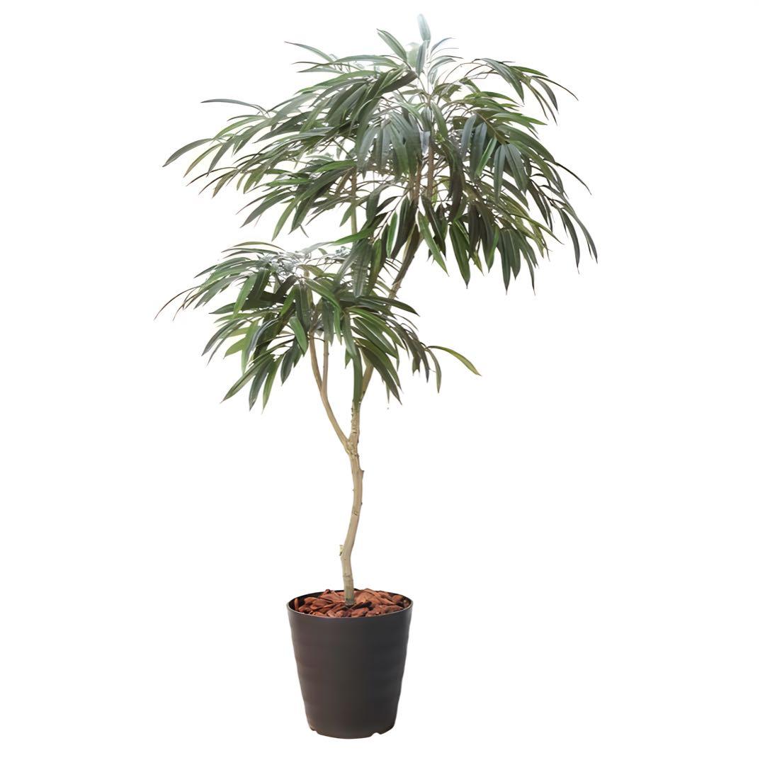 光触媒　人工観葉植物　フェイクグリーン　ショウナンゴムポット180