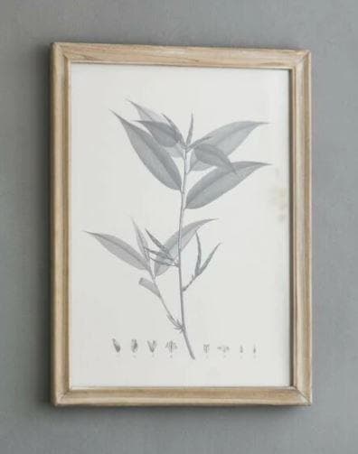 額絵 植物 アートフレーム 4枚セット ボタニカル ナチュラル AN-80196