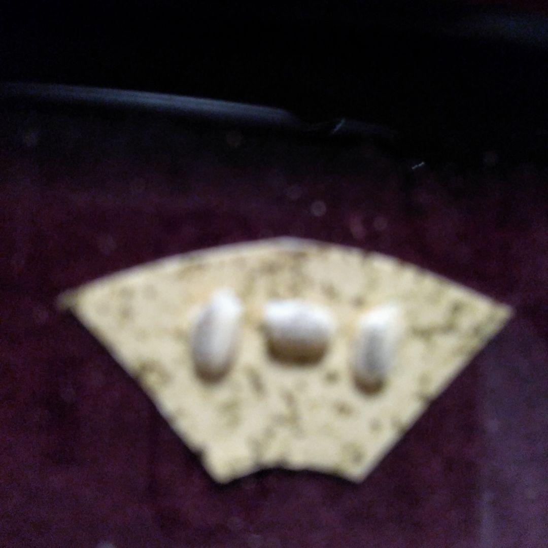 米3粒に徳川家康遺訓全文が書いてある芸術作品⭕非常に希少