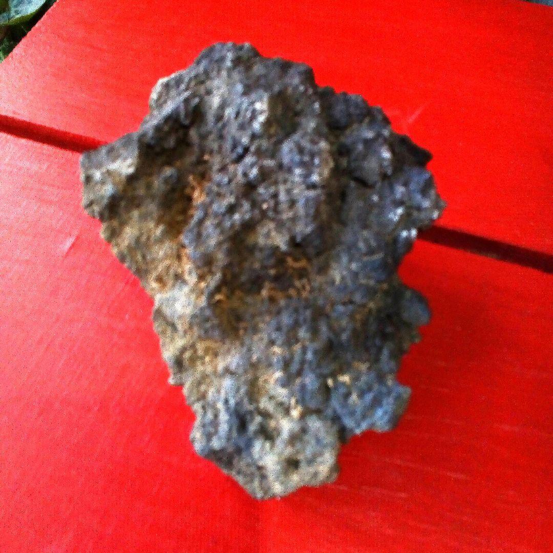 黒溶岩石　盆栽　ミニチュア庭園　アクアリウム