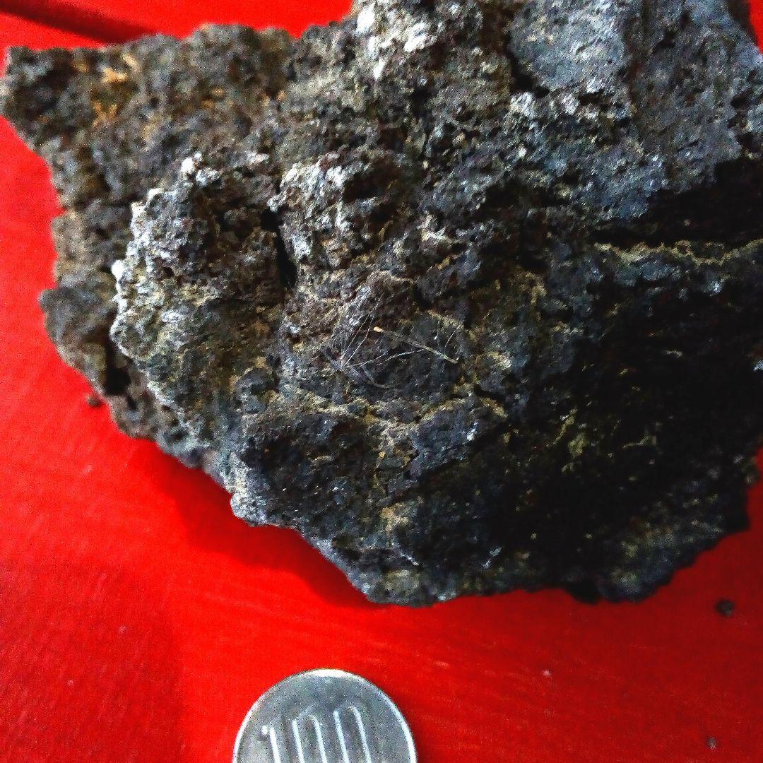 黒溶岩石　盆栽　ミニチュア庭園　アクアリウム