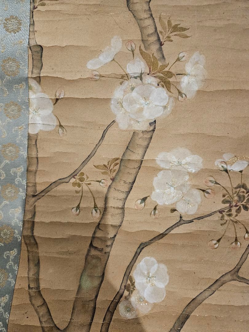 尾形光琳『櫻花図』琳派の祖 菱田春草 鑑定印 法橋光琳 掛軸 江戸時代