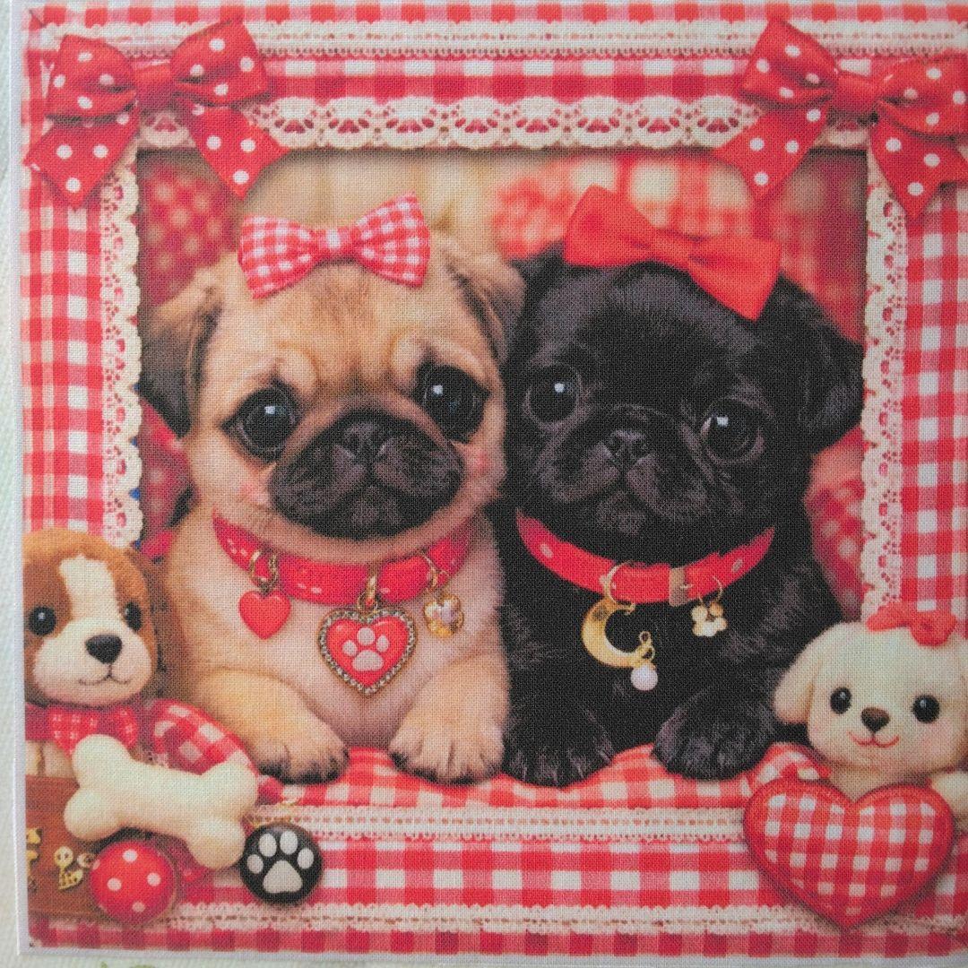 ☆受付☆パグ・フレンチブル