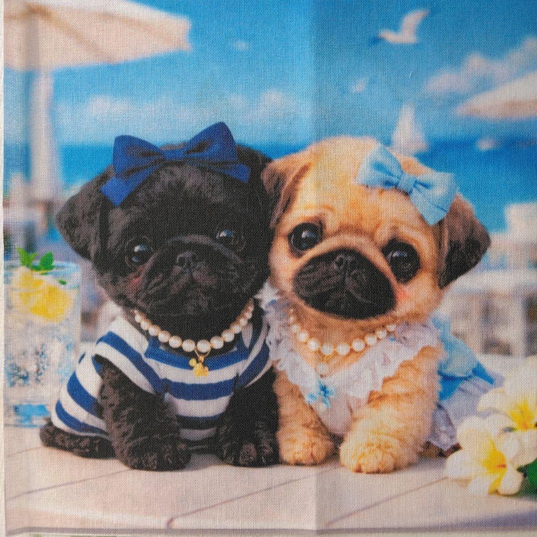 ☆受付☆パグ・フレンチブル