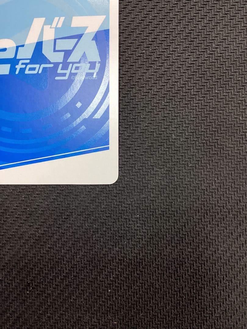 Reバース　ブルーアーカイブ ノノミ PP サイン