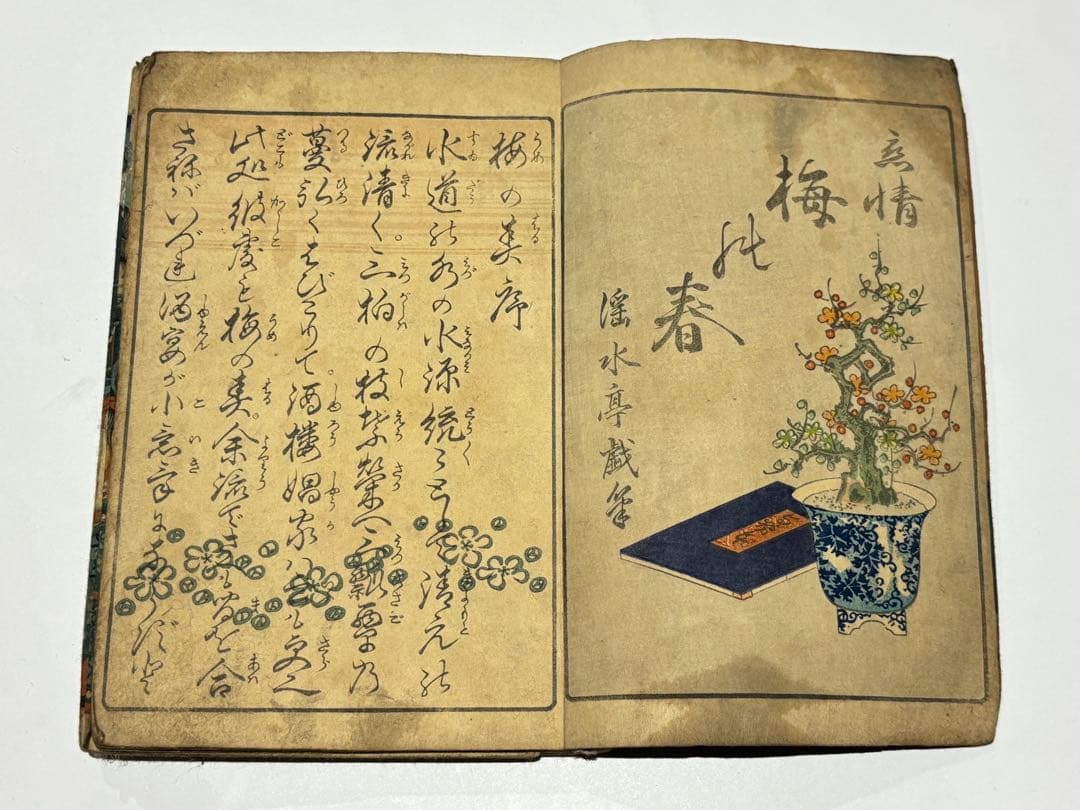 「恋情 梅の春」淫水亭笑山 彩色木版刷り1冊|艶本 春画 和本 浮世絵