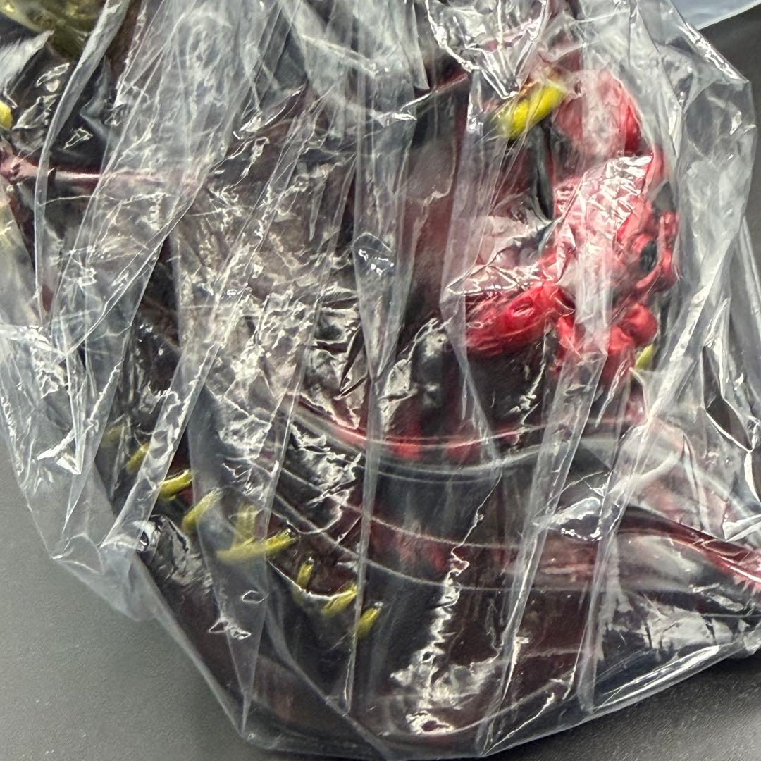 アイビー　六芒星　KAGEMARU DESIGNS カゲマルデザイン