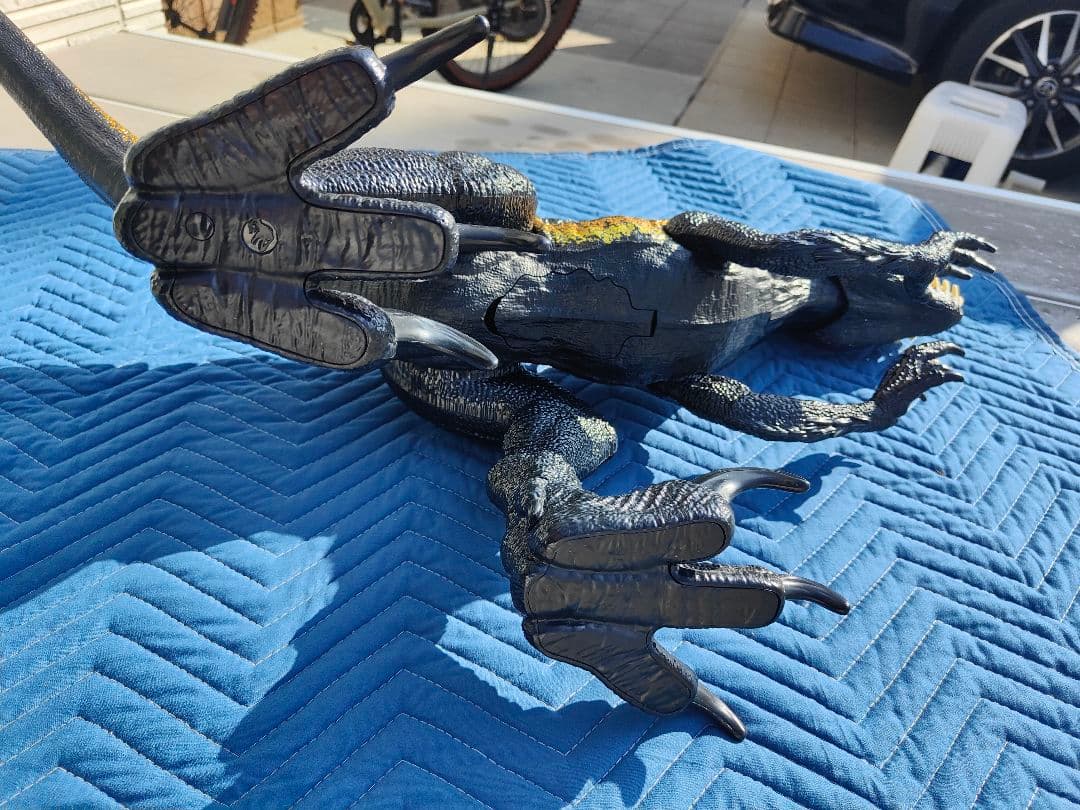 インドラプトル　スーパービック 99cm　観賞用☆②