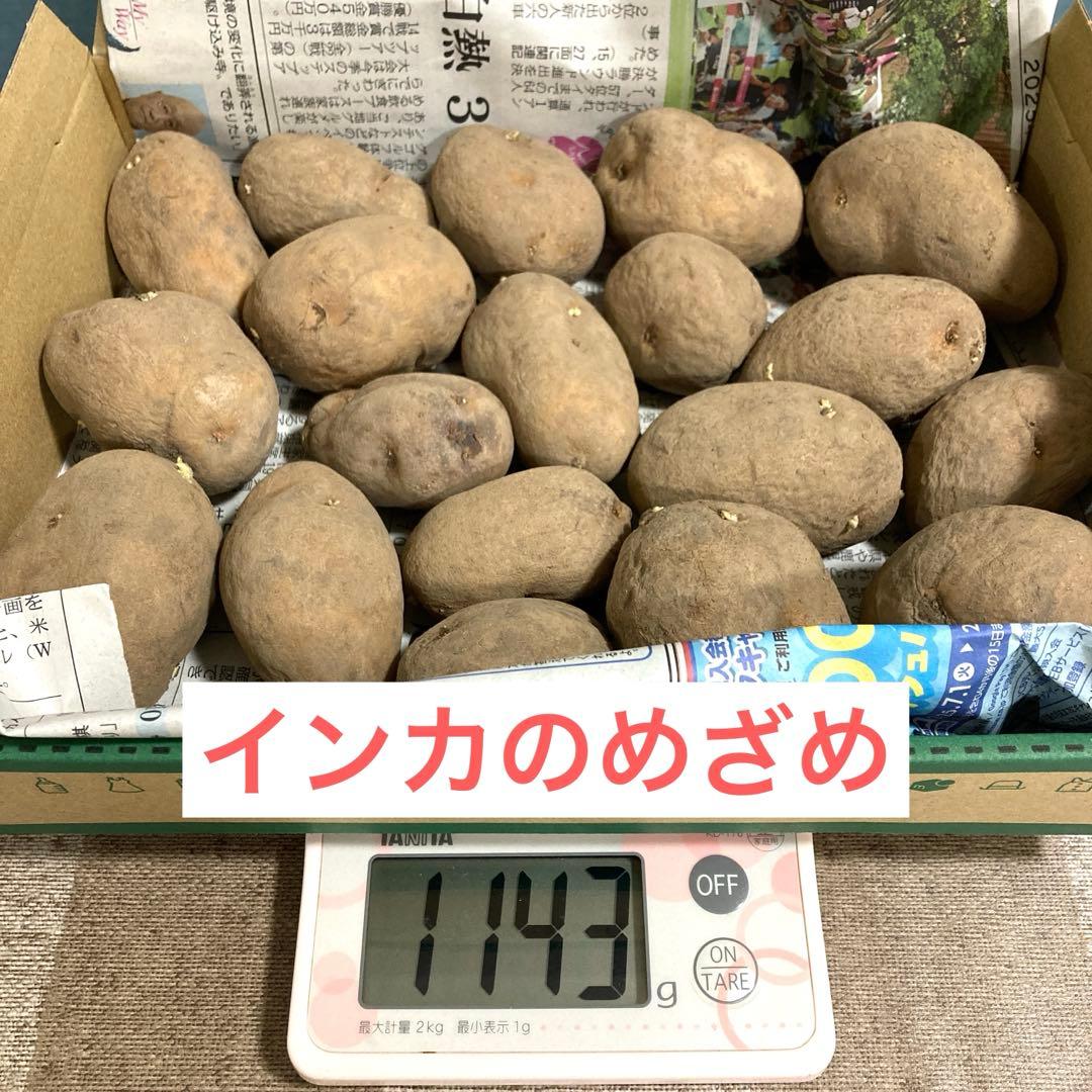 インカのめざめ 種芋 - メルカリ