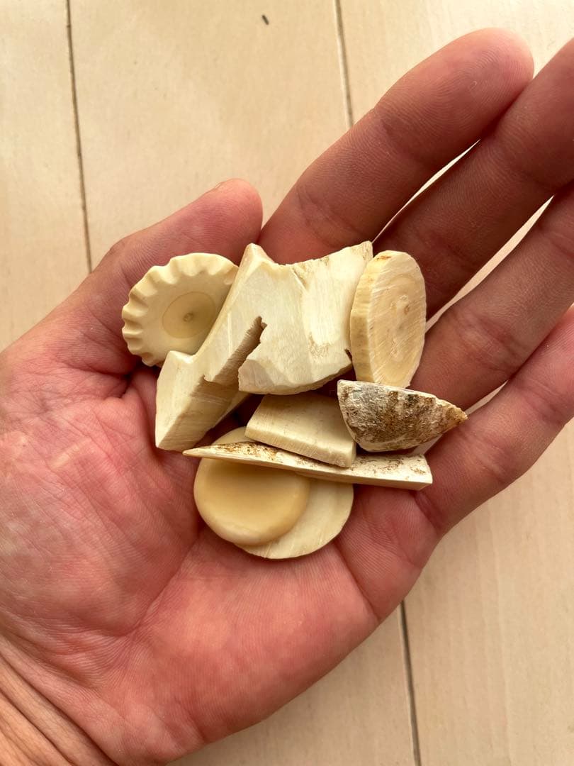 鯨歯　端材　マッコウ　根付け　ボーンカービング　イッカク　49.9g