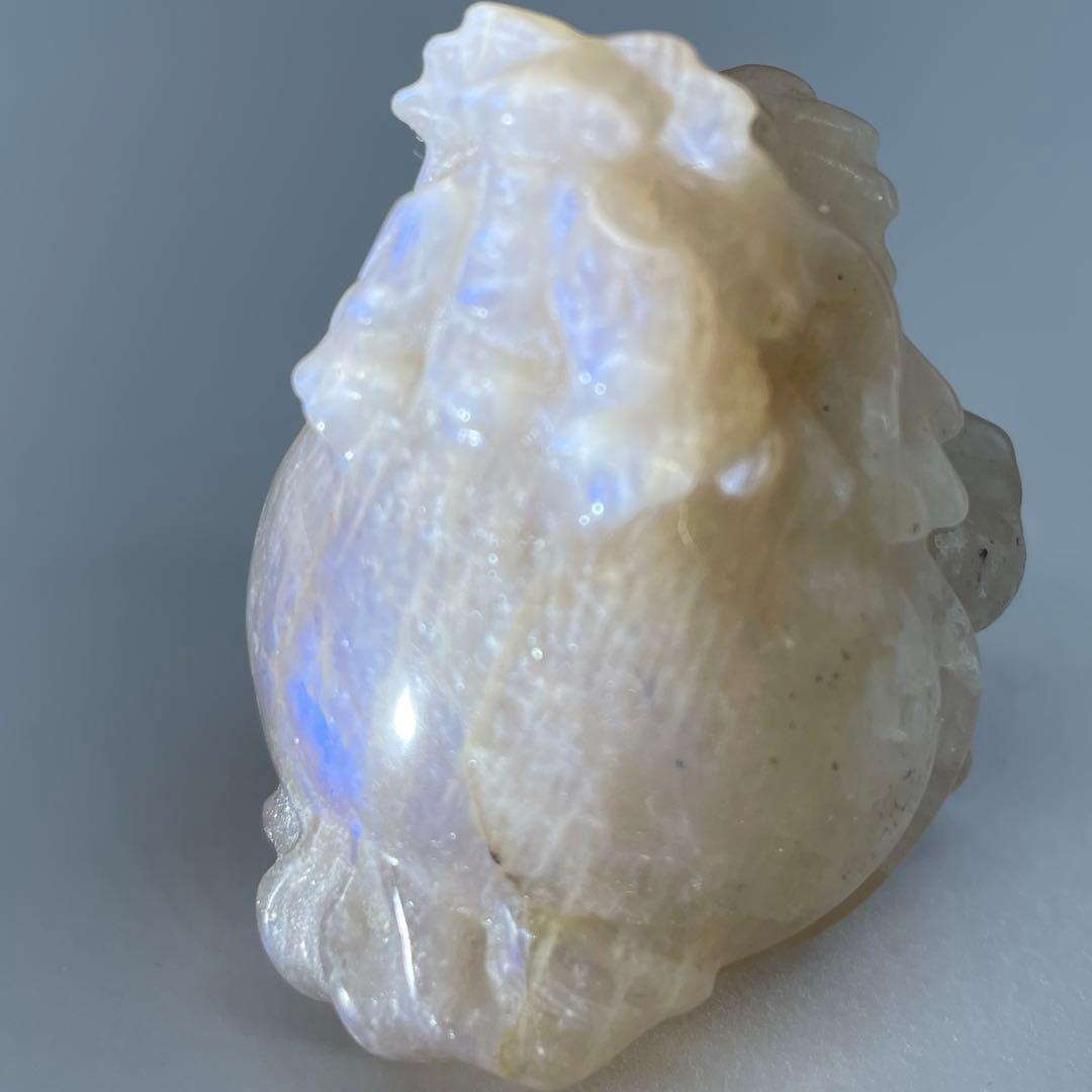 超高品質 希少！ブルーシラーを持つ オレンジ ムーンストーン　ロングイ　龍亀