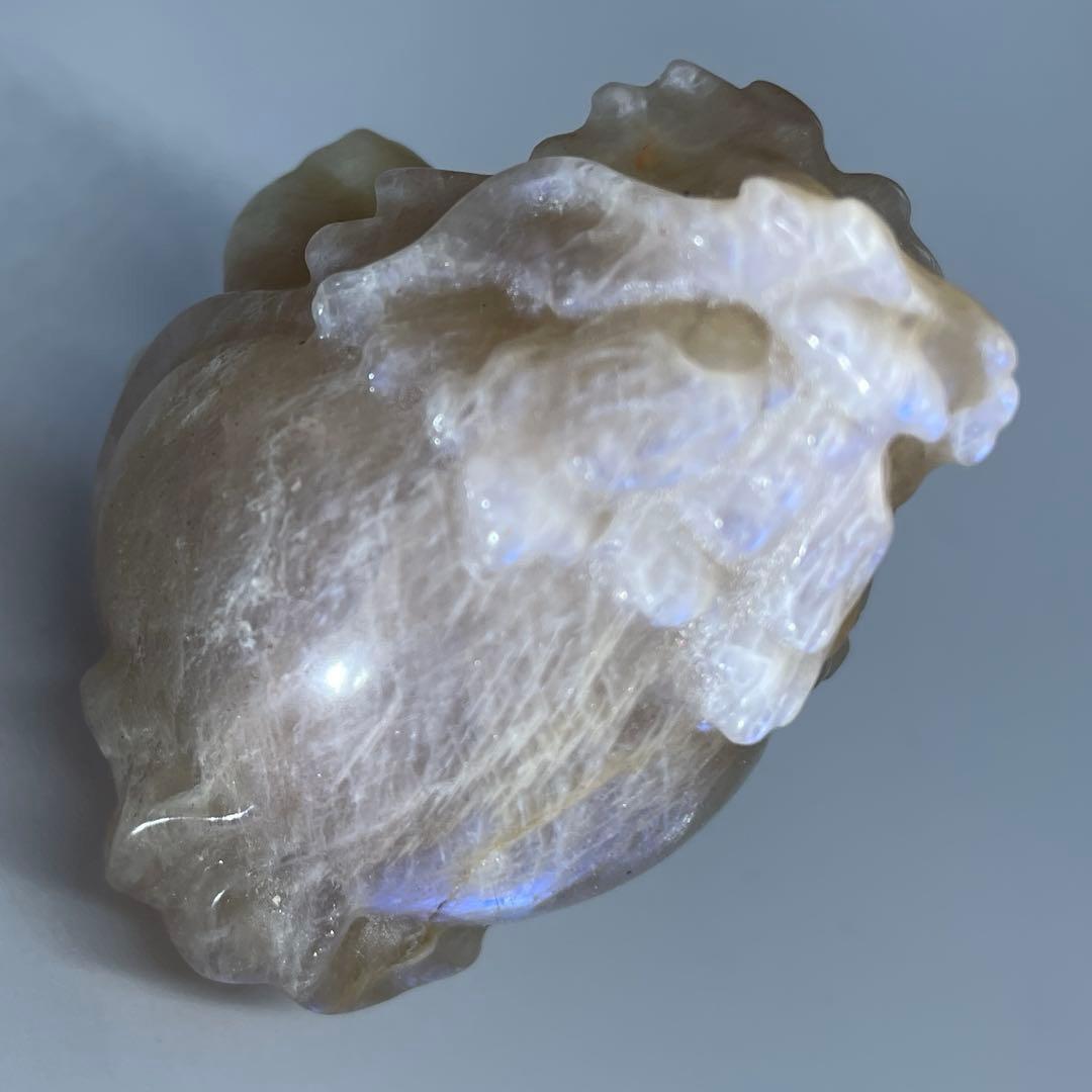 超高品質 希少！ブルーシラーを持つ オレンジ ムーンストーン　ロングイ　龍亀