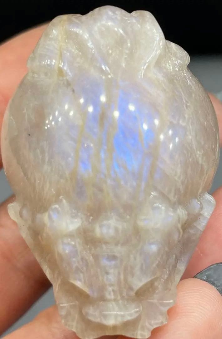 超高品質 希少！ブルーシラーを持つ オレンジ ムーンストーン　ロングイ　龍亀