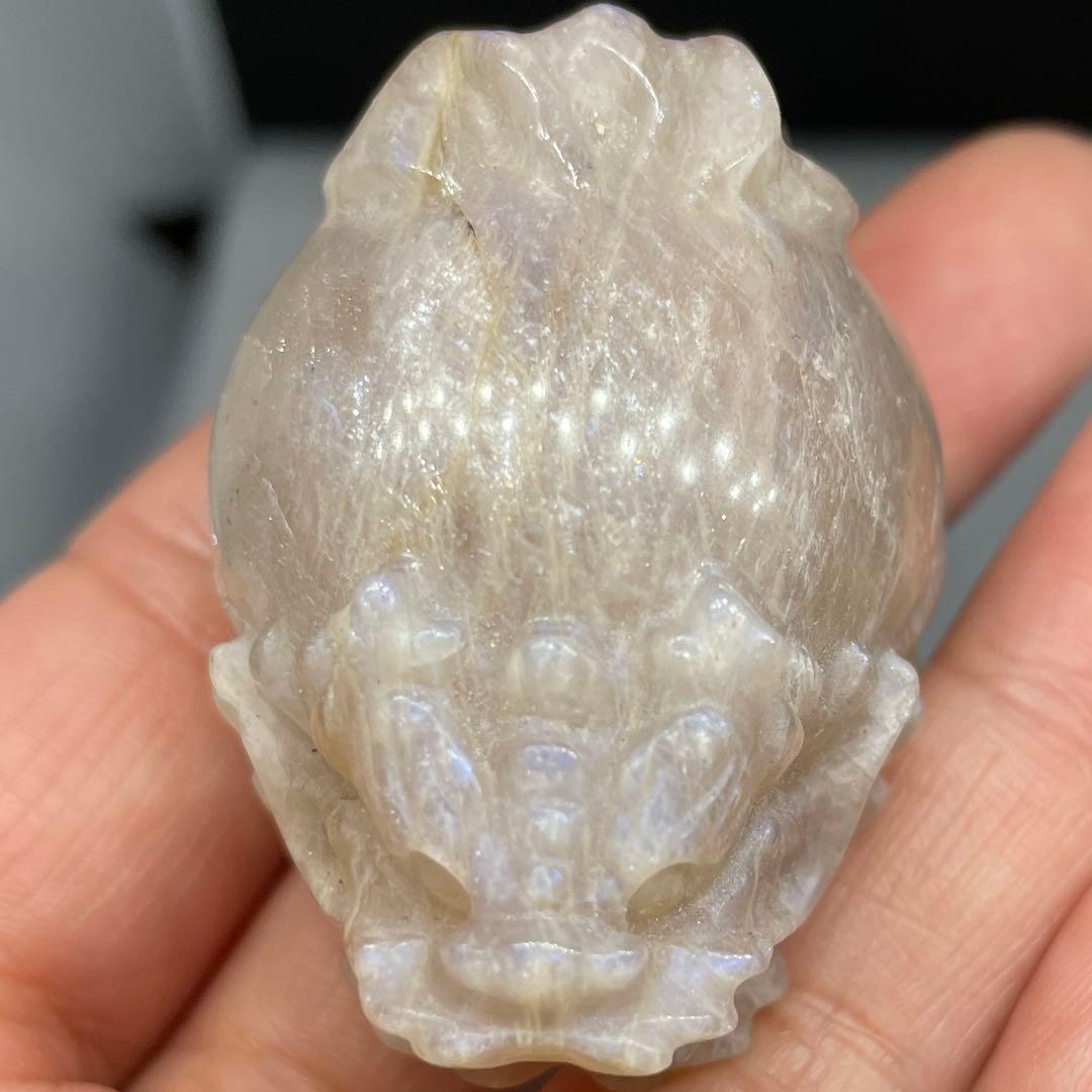 超高品質 希少！ブルーシラーを持つ オレンジ ムーンストーン　ロングイ　龍亀