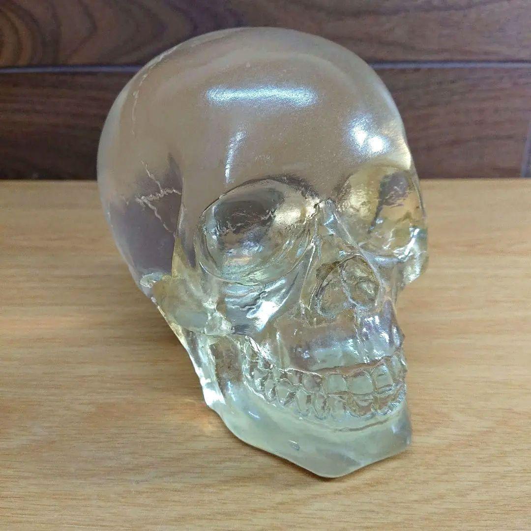 スカル オブジェ 骸骨 置物 透明