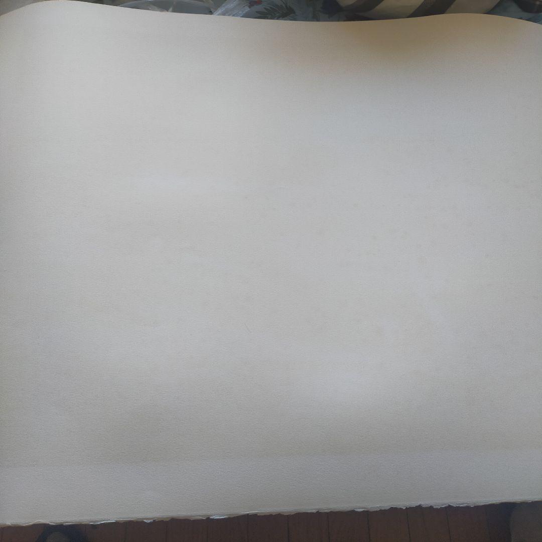 【真作保証】アンドレ・モレル 直筆サイン リトグラフ 桜BFK RIVES紙