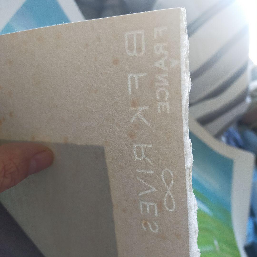 【真作保証】アンドレ・モレル 直筆サイン リトグラフ 桜BFK RIVES紙