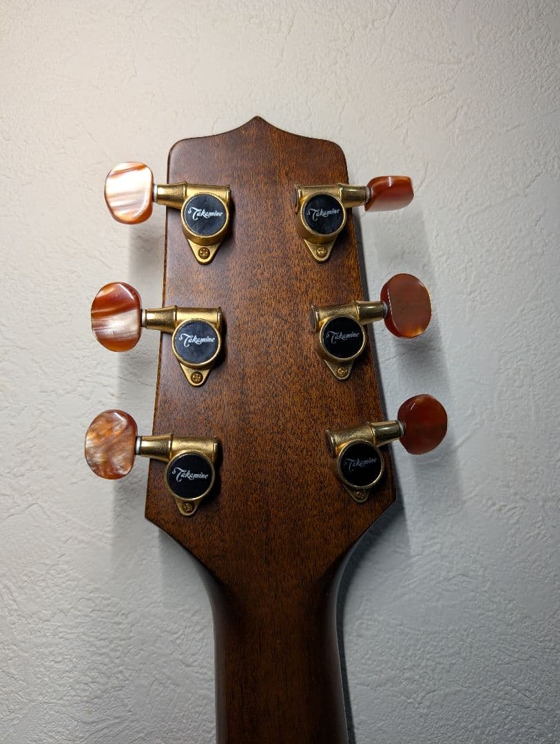 Takamine タカミネ ギター NPT-012 BS 美品 - メルカリ