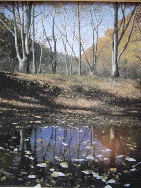 田中芳照、【落葉の池】、希少な画集画、新品高級額 額装付、状態良好