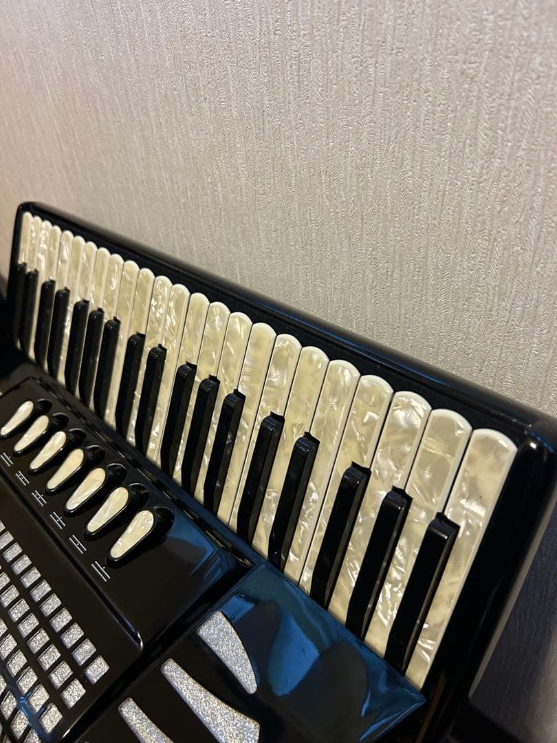 EXCELSIOR308 ピアノアコーディオン 41鍵120ベース - メルカリ