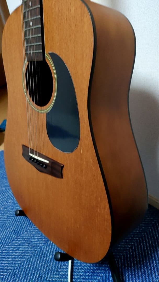 Vantage VIS-1 アコースティックギター メンテナンス済 - メルカリ