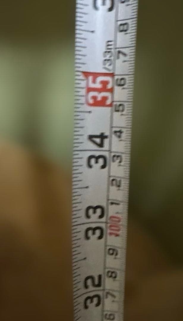 【特大】般若　木製手彫り