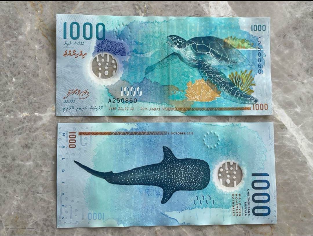 モルディブ 1000ルフィア（MVR）紙幣（海亀・ジンベイザメ） - メルカリ