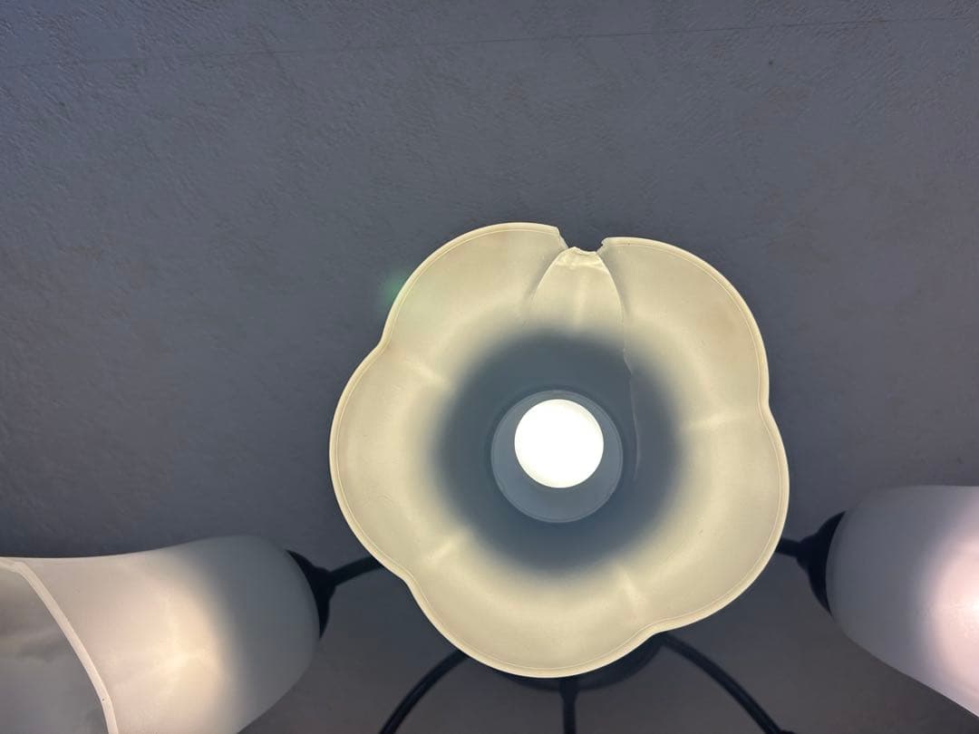 フラワー型シャンデリア 6灯 ホワイト