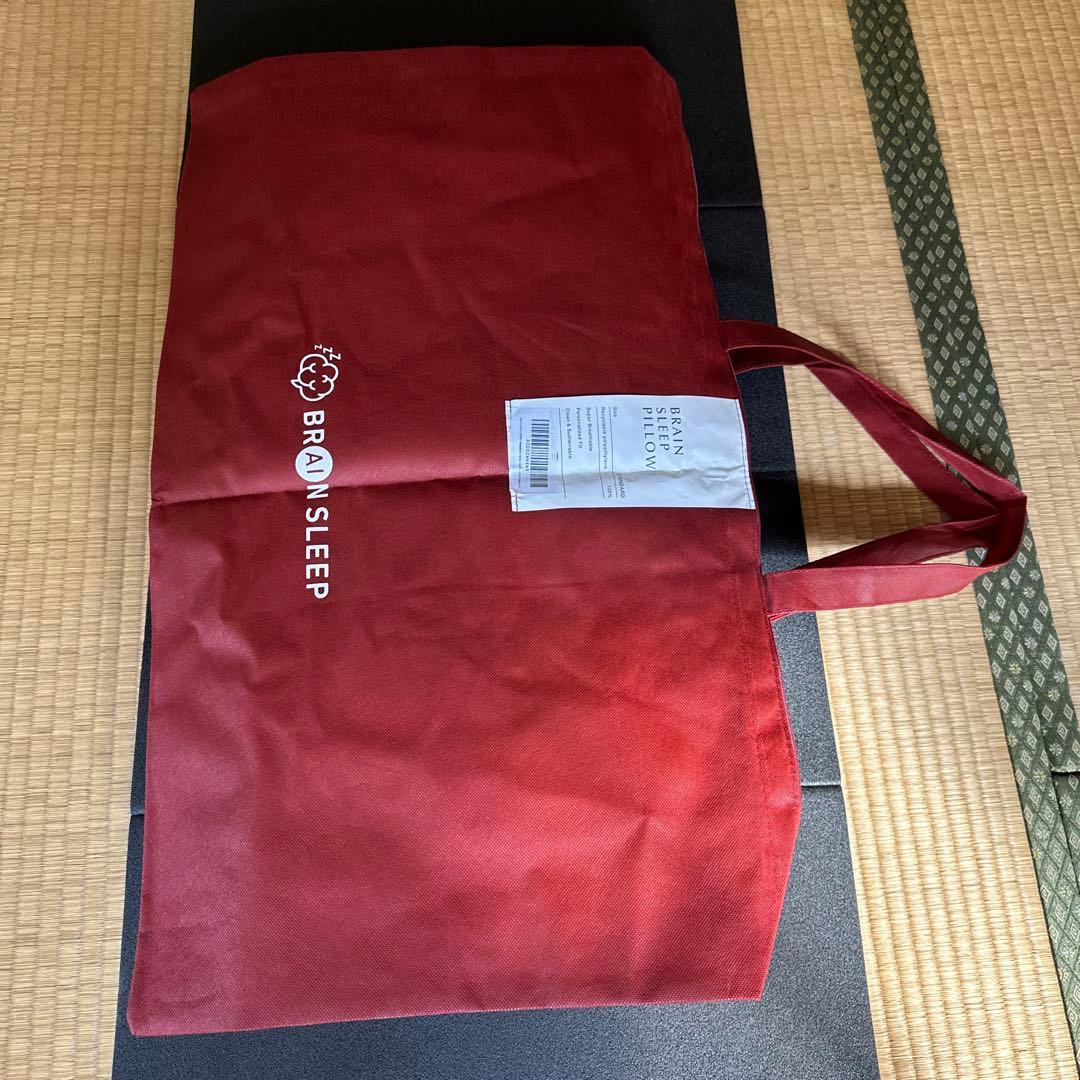 BRIAN SLEEP PILLOW スタンダードサイズ