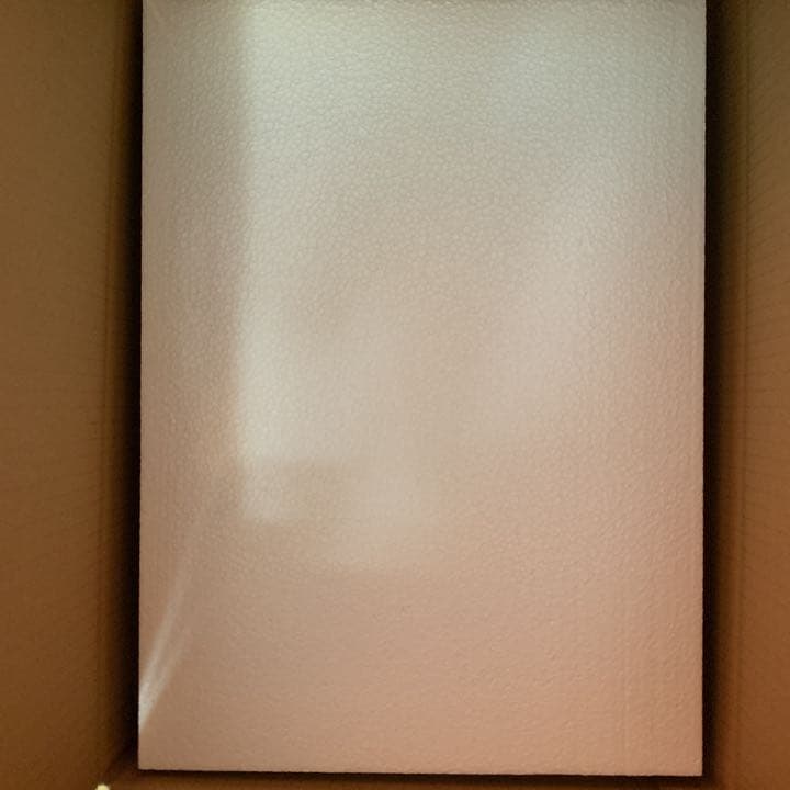 豊田ルナ 直筆 サイン入り パネル blt graph 限定 レア 新品写真