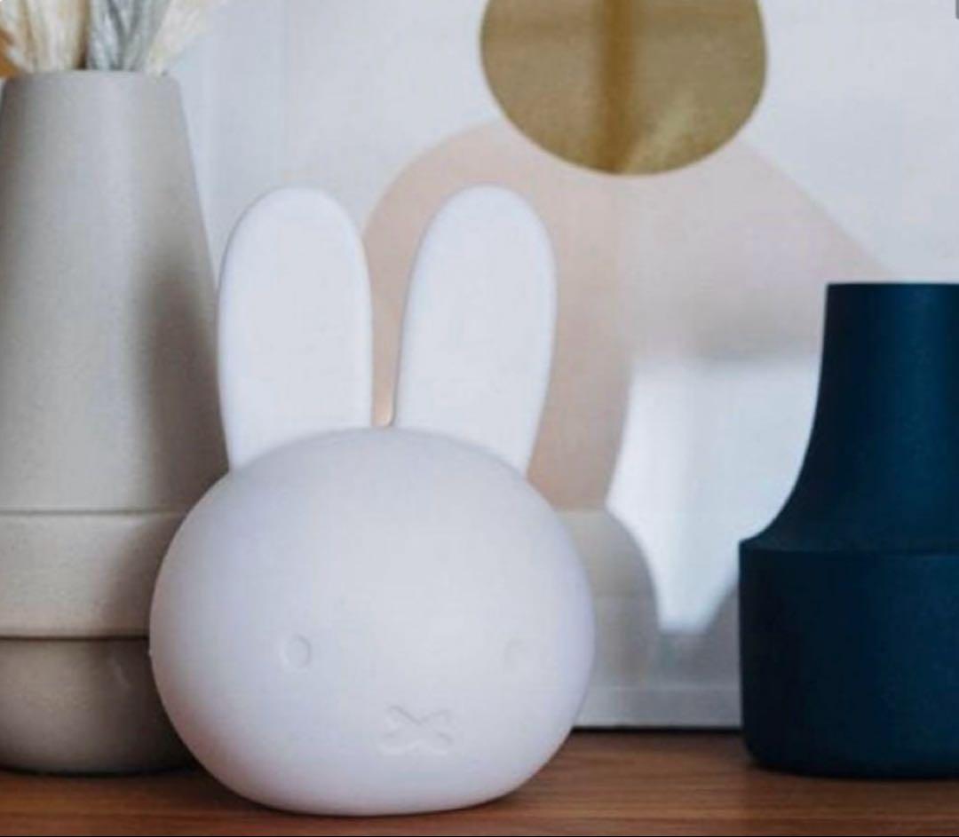 スタディオクリップ　未使用の シルエットライトボリス&ミッフィーセット