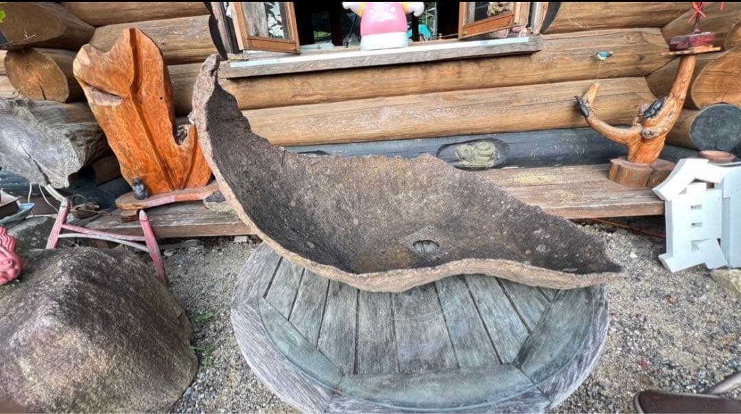 特殊な鉢 京鞍馬風手造り鉢 粋な鉢 変わり樹形に 77