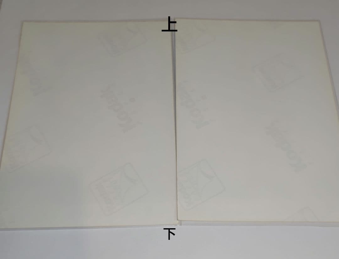 AKB48 中西里菜 軽蔑していた愛情 発売記念 生写真 コンプ