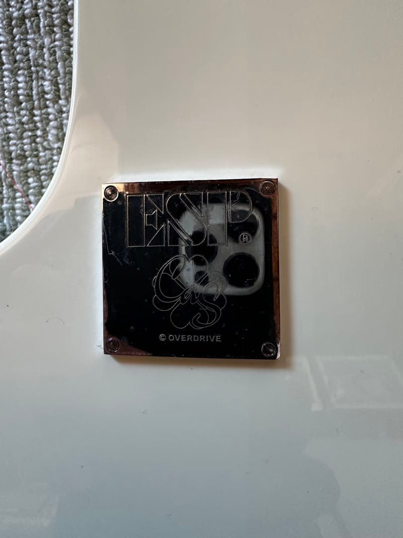 希少品ESP×OVERDRIVE コラボギター フロムハート僕が天使になった理由