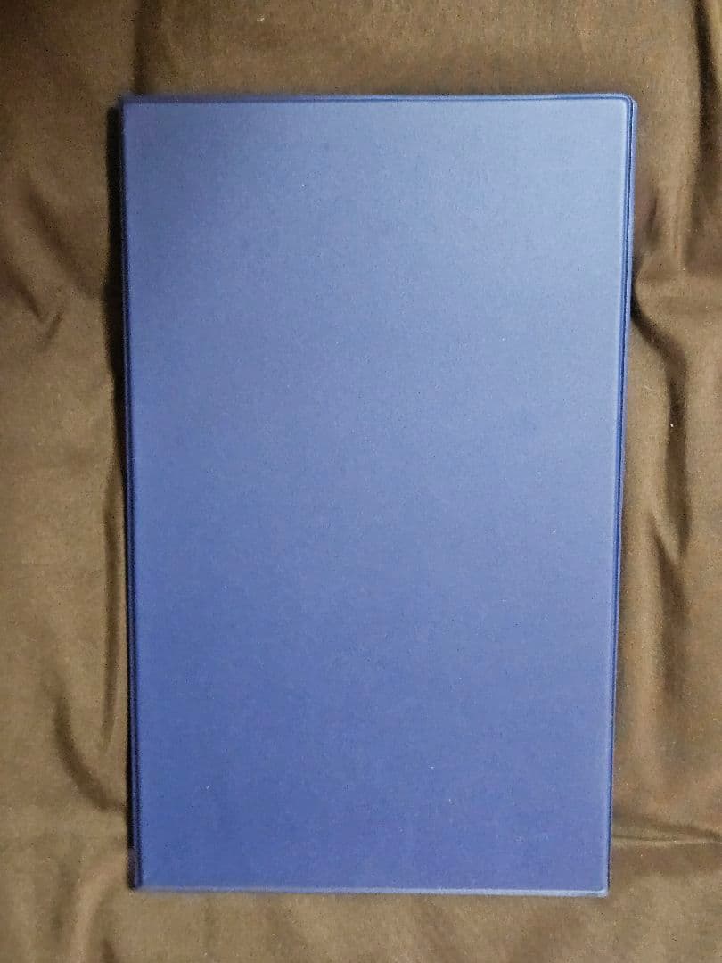 懸賞 忍空 カードアルバム ファイル 当選 非売品 ppカード アマダ