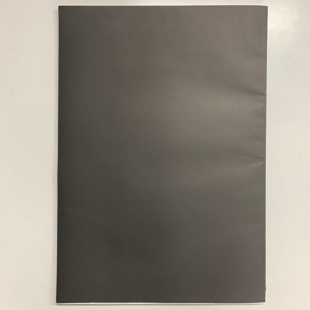 ALASTAIR THAIN SHADOW OF AMANⅡアラステアサイン - メルカリ