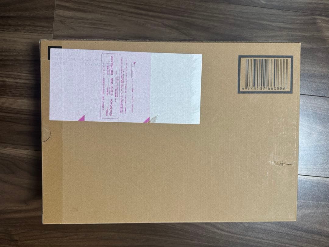 L BUILD ストライクフリーダム　FESTIVAL 2024