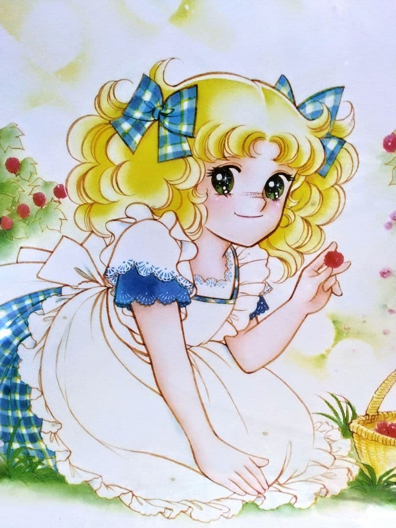 ☆ ９,０００円！ キャンディキャンディ 1000ピースパズル ベリーシーズン