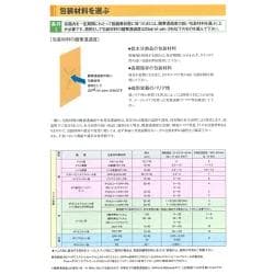 100P×10袋セット 脱酸素剤 エージレス Z-100PKC 低水分用