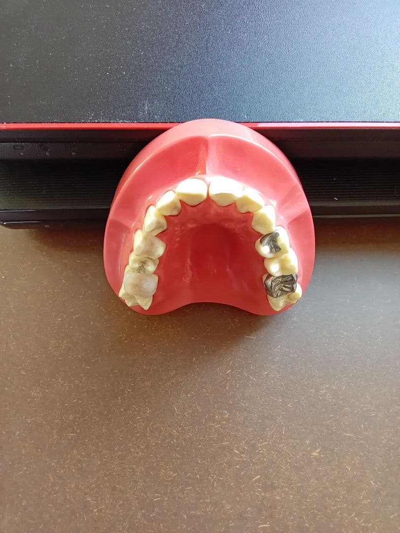 デモンストレーションモデル A1