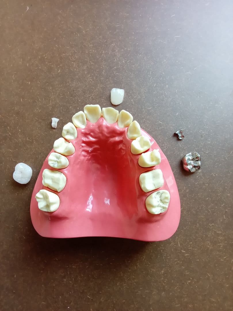 デモンストレーションモデル A1