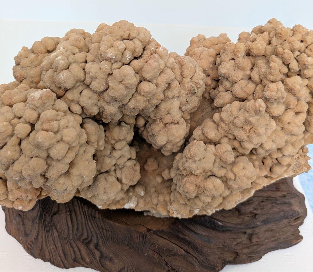 最終値下げ　希少　特大　鍾乳石　水石　　飾り石　レア物　入手困難　お買い得