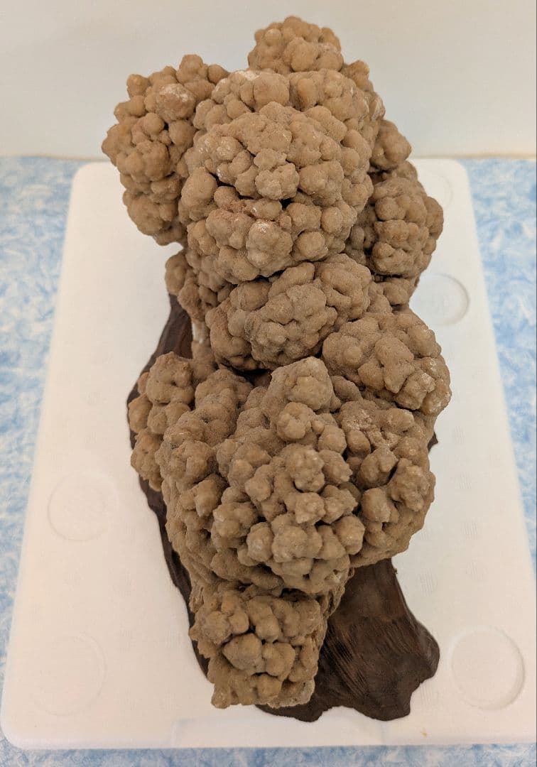 最終値下げ　希少　特大　鍾乳石　水石　　飾り石　レア物　入手困難　お買い得