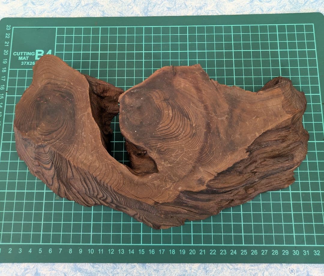 最終値下げ　希少　特大　鍾乳石　水石　　飾り石　レア物　入手困難　お買い得