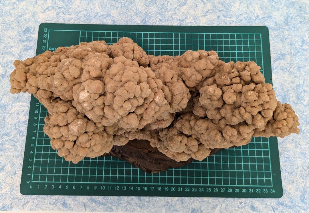 最終値下げ　希少　特大　鍾乳石　水石　　飾り石　レア物　入手困難　お買い得